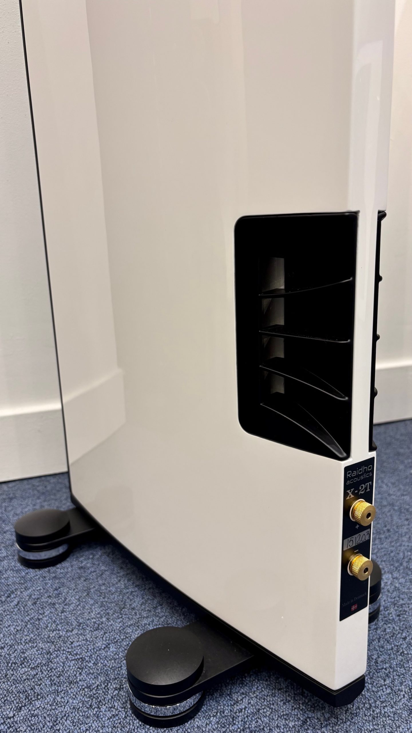 RAIDHO X2T – Image 10